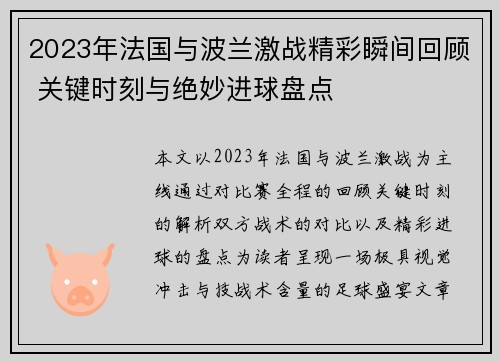 2023年法国与波兰激战精彩瞬间回顾 关键时刻与绝妙进球盘点